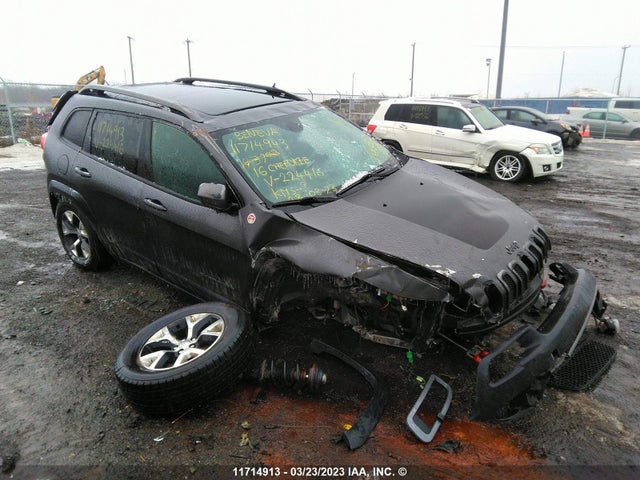 1C4PJMBS8GW224416 auction archive image
