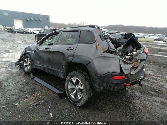 1C4PJMBS8GW224416 Jeep Cherokee Trailhawk