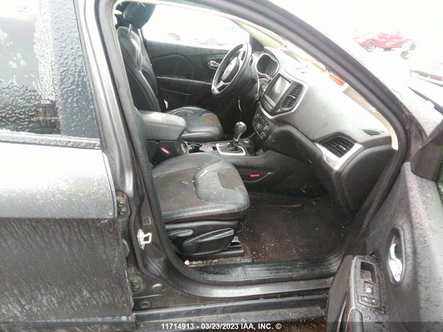 1C4PJMBS8GW224416 Jeep Cherokee Trailhawk