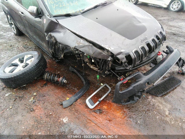 1C4PJMBS8GW224416 Jeep Cherokee Trailhawk