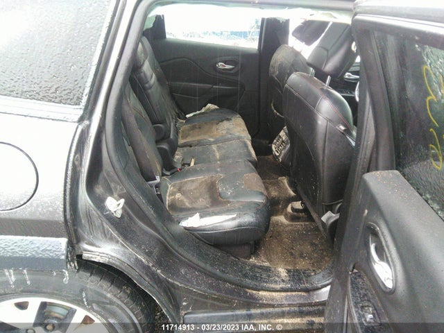 1C4PJMBS8GW224416 Jeep Cherokee Trailhawk