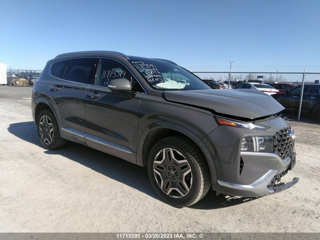 Hyundai Santa Fe Calligraphy 2021 5NMS5DAL2MH331372 главное изображение
