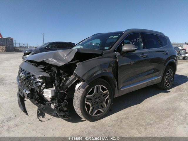 Hyundai Santa Fe Calligraphy 2021 5NMS5DAL2MH331372 Image 2