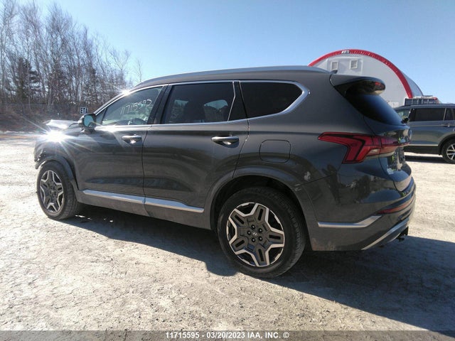 Hyundai Santa Fe Calligraphy 2021 5NMS5DAL2MH331372 Image 4