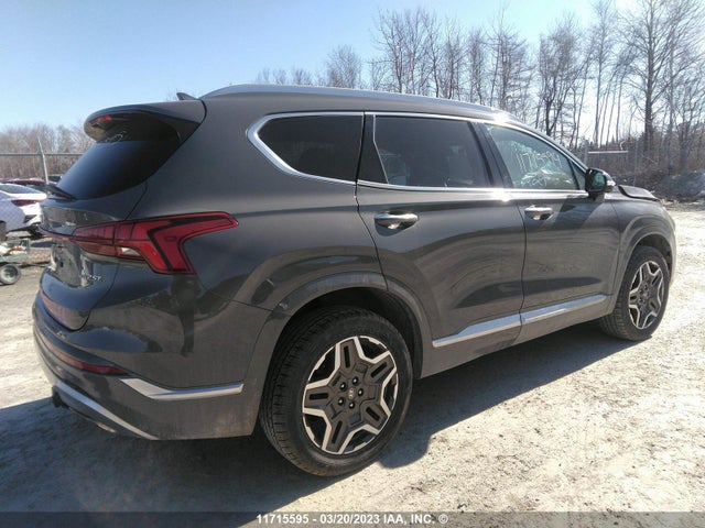 Hyundai Santa Fe Calligraphy 2021 5NMS5DAL2MH331372 Image 5