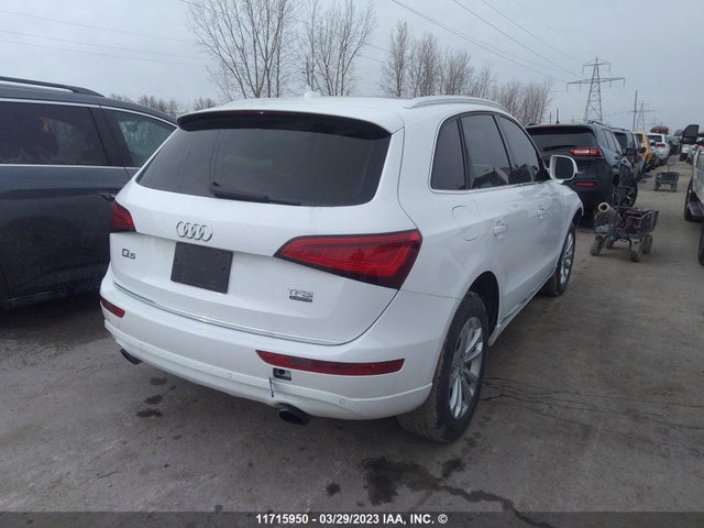 WA1LFCFP3FA115156 Audi Q5 Premium Plus