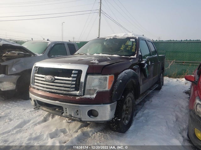 Ford F150 2010 1FTFW1EV6AFC99382 Image 3