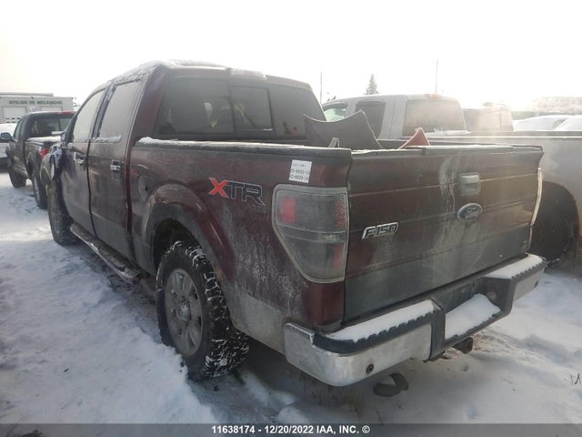 Ford F150 2010 1FTFW1EV6AFC99382 Image 4