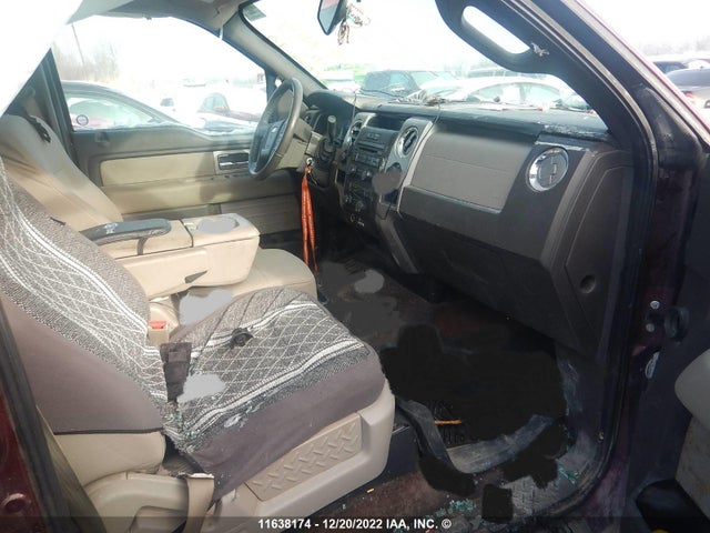 Ford F150 2010 1FTFW1EV6AFC99382 Image 6