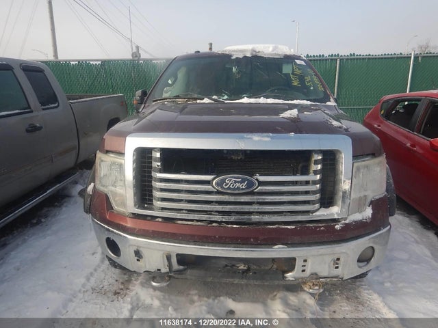 Ford F150 2010 1FTFW1EV6AFC99382 Image 7