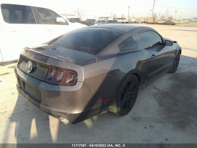 Ford MUSTANG 2014 1ZVBP8AM0E5218192 Image 6