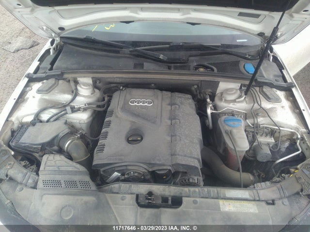 WAUFFCFL9GN004487 Audi A4 Progressiv Plus