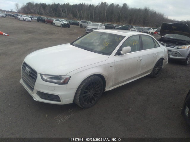 WAUFFCFL9GN004487 Audi A4 Progressiv Plus