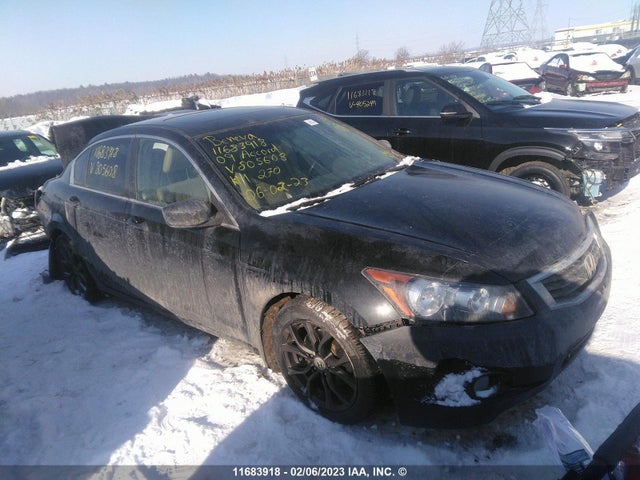 Honda ACCORD EXL 2009 1HGCP26869A805608 main image