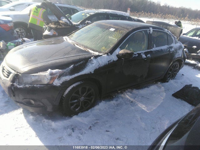 Honda ACCORD EXL 2009 1HGCP26869A805608 Image 2