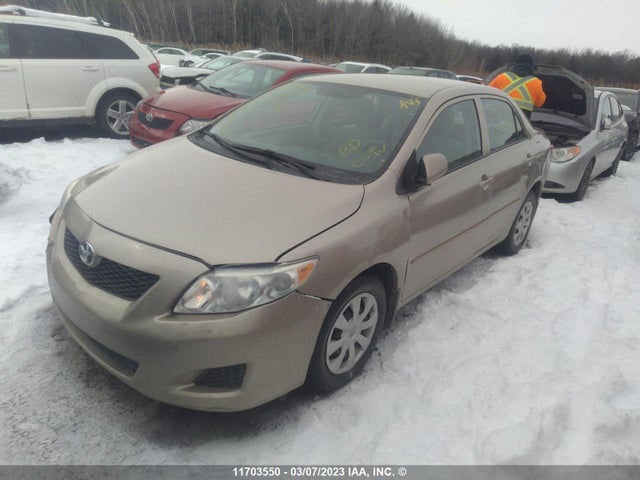Toyota Corolla S/le/xle 2010 2T1BU4EE5AC359392 Image 2