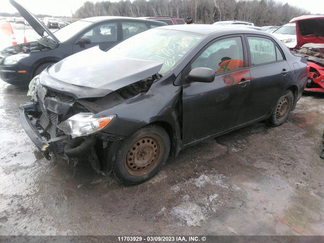 Toyota Corolla S/le/xle 2009 2T1BU40E69C053417 Image 2