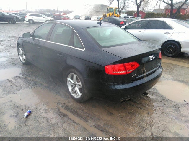 WAUFFCFL5BN037852 Audi A4 Premium Plus