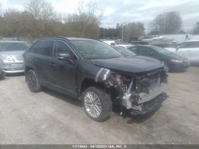 Toyota RAV4 LE 2019 2T3Z1RFV9KC002390 Image 1