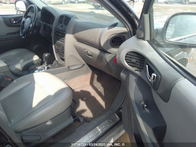 Hyundai Santa Fe Gls/limited 2006 KM8SB73E06U080657 Image 7