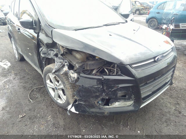 Ford ESCAPE 2014 1FMCU0GX9EUA32428 Image 6