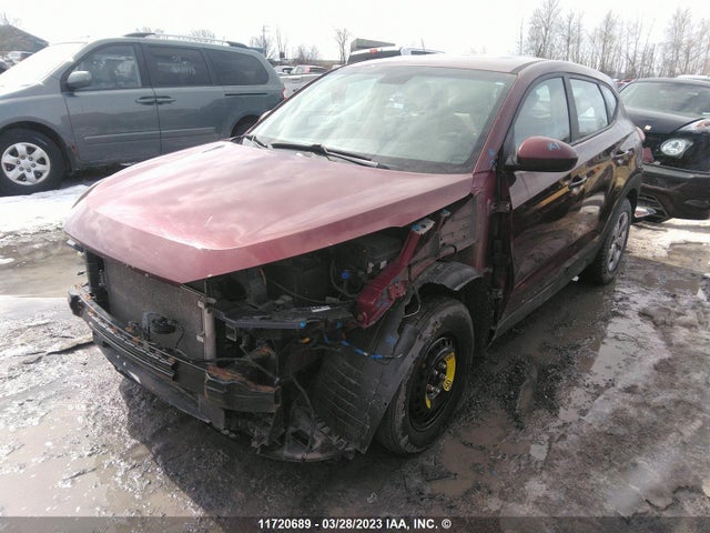 Hyundai TUCSON SE 2016 KM8J23A43GU066817 Image 2