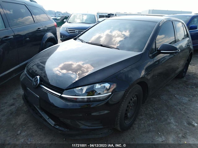 3VWG57AUXKM028007 Volkswagen GOLF