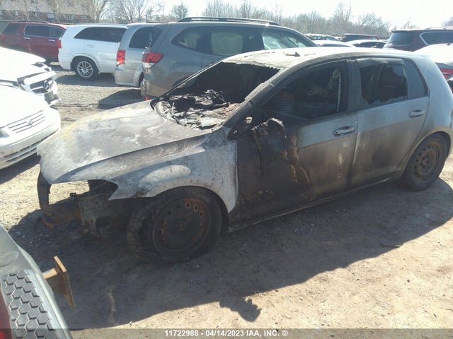 3VW217AU2GM034218 Volkswagen GOLF