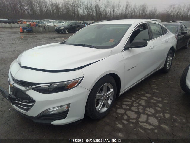 Chevrolet MALIBU LS 2023 1G1ZB5ST7PF125034 Image 2