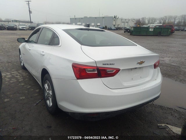 Chevrolet MALIBU LS 2023 1G1ZB5ST7PF125034 Image 5