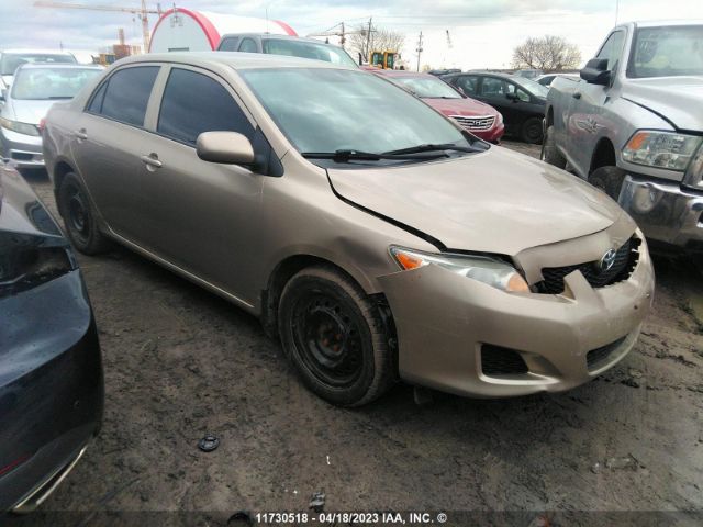 Auction sale of the 2010 Toyota Corolla S/le/xle, vin: 2T1BU4EE3AC451004, lot number: 11730518