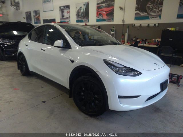 Продажа на аукционе авто 2021 Tesla Model Y, vin: 5YJYGDED1MF120107, номер лота: 11683494