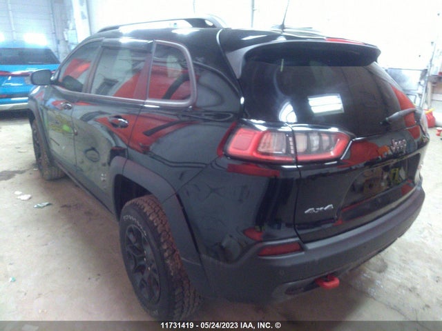 1C4PJMBX3MD125103 Jeep Cherokee Trailhawk