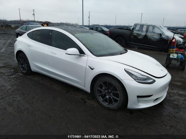 Продажа на аукционе авто 2020 Tesla Model 3 Standard Range Plus, vin: 5YJ3E1EA5LF720955, номер лота: 11731661
