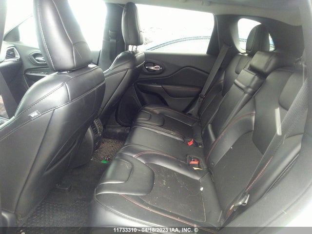 1C4PJMBX6KD213253 Jeep Cherokee Trailhawk