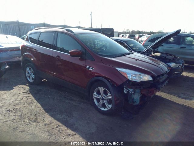 Auction sale of the 2016 Ford Escape Se, vin: 1FMCU0G99GUC14800, lot number: 11733403