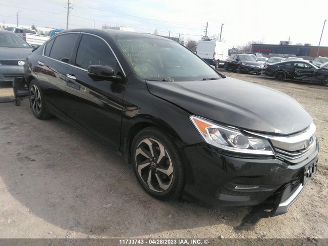 2016 1HGCR2F82GA801546 main image