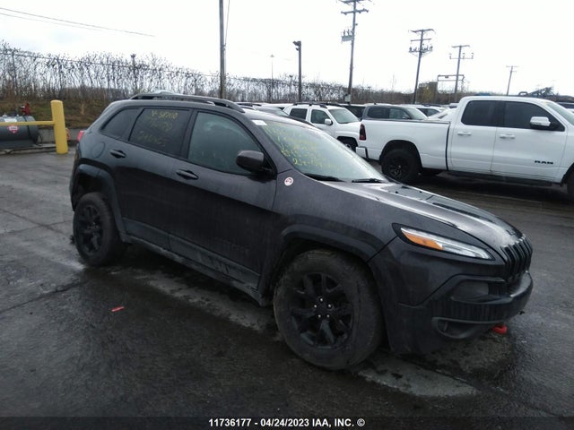 1C4PJMBSXHW587110 auction archive image
