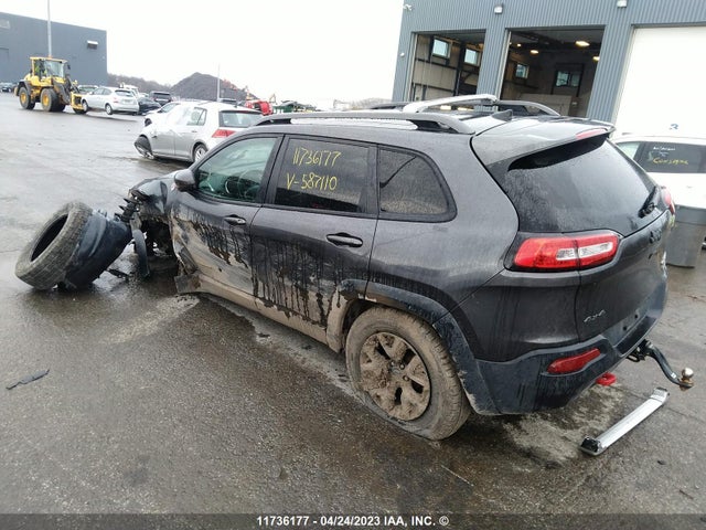1C4PJMBSXHW587110 Jeep Cherokee Trailhawk
