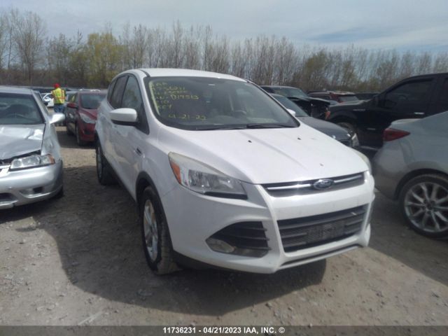 Auction sale of the 2014 Ford Escape Se, vin: 1FMCU9G93EUD19513, lot number: 11736231