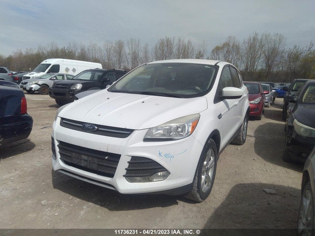 Ford ESCAPE SE 2014 1FMCU9G93EUD19513 Image 2