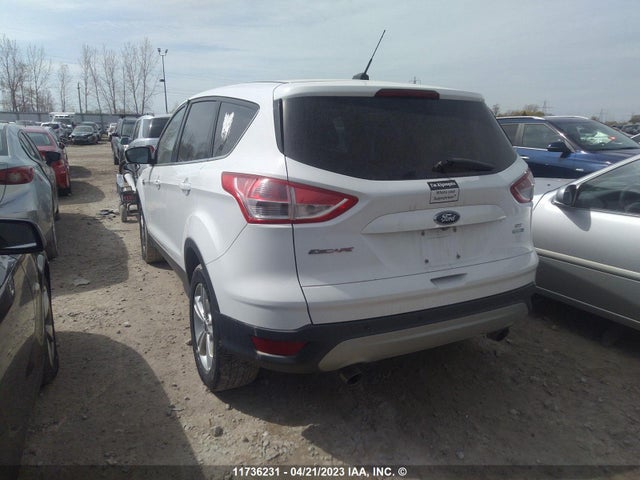 Ford ESCAPE SE 2014 1FMCU9G93EUD19513 Image 4