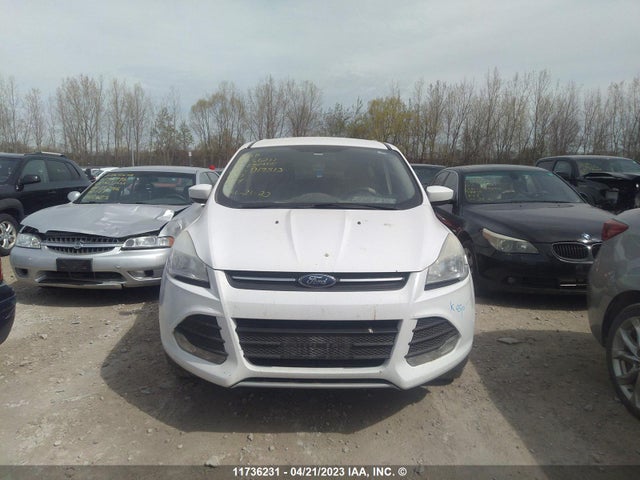 Ford ESCAPE SE 2014 1FMCU9G93EUD19513 Image 7
