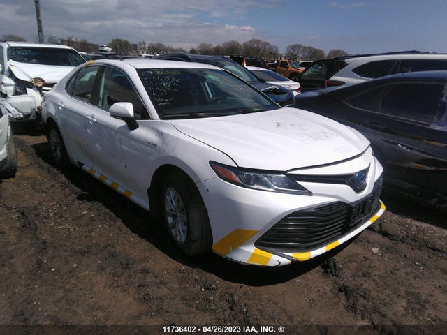 Toyota CAMRY LE 2019 4T1B31HK7KU510736 главное изображение