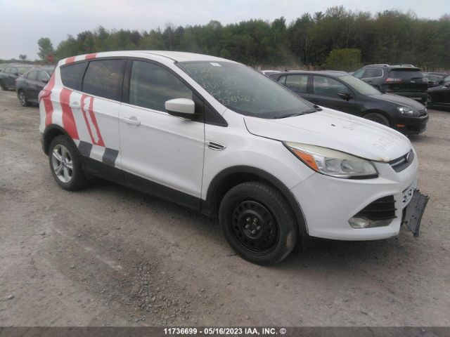 Auction sale of the 2014 Ford Escape Se, vin: 1FMCU9GX5EUD11282, lot number: 11736699