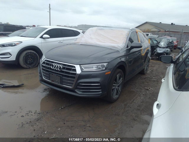 WA1ENAFY9J2164549 Audi Q5 Progressiv