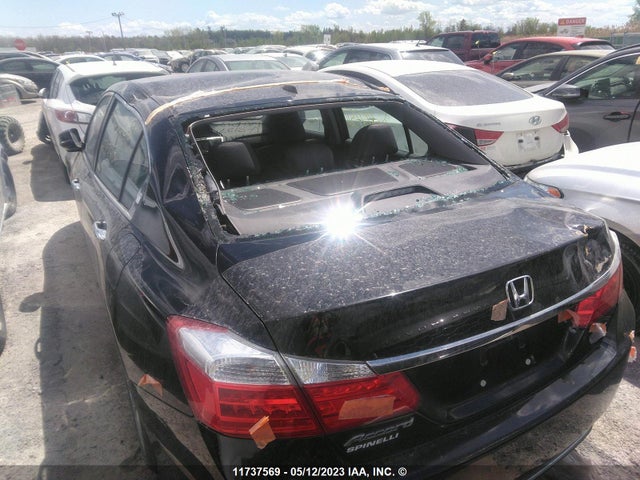 Honda Accord 2014 1HGCR2F80EA812753 Image 6