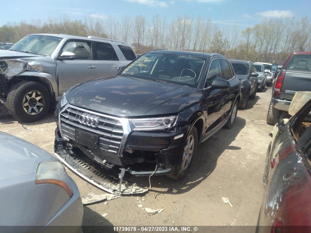 WA1BNAFY4K2032500 Audi Q5 Progressiv