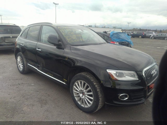 WA1CFCFP6FA025502 auction archive image