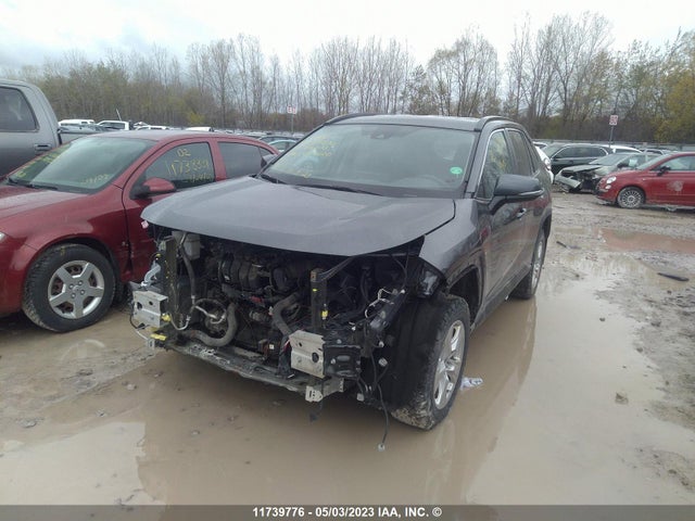 Toyota RAV4 LE 2019 2T3B1RFV7KC024020 Image 2